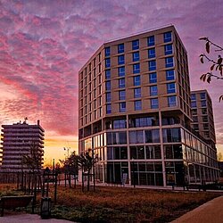 Newdeal Sprachschule Bordeaux